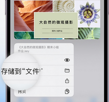 海陵apple维修中心分享iPhone文件应用中存储和找到下载文件