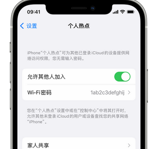 海陵apple服务站点分享iPhone上个人热点丢失了怎么办 