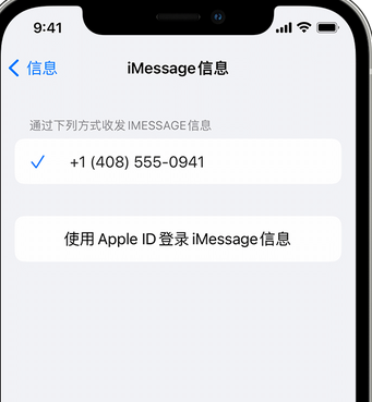 海陵apple维修iPhone上无法正常发送iMessage信息 