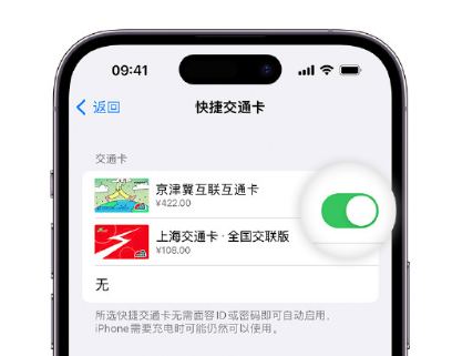 海陵apple维修点分享iPhone上更换Apple Pay快捷交通卡手绘卡面 