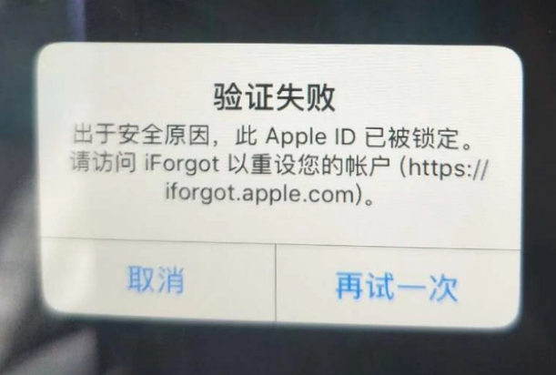 海陵iPhone维修分享iPhone上正常登录或使用AppleID怎么办 