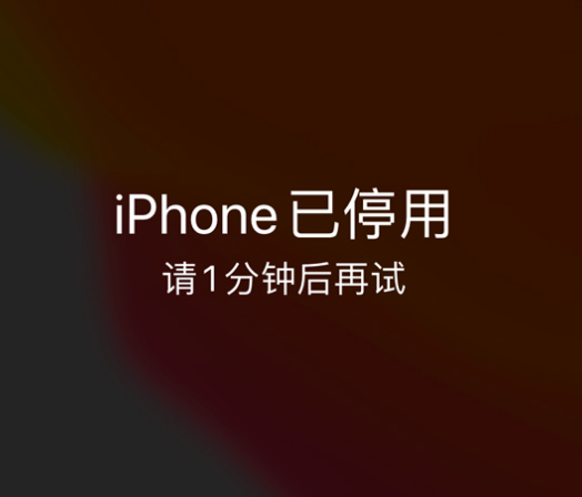 海陵苹果手机维修分享:iPhone 显示“不可用”或“已停用”怎么办？还能保留数据吗？ 