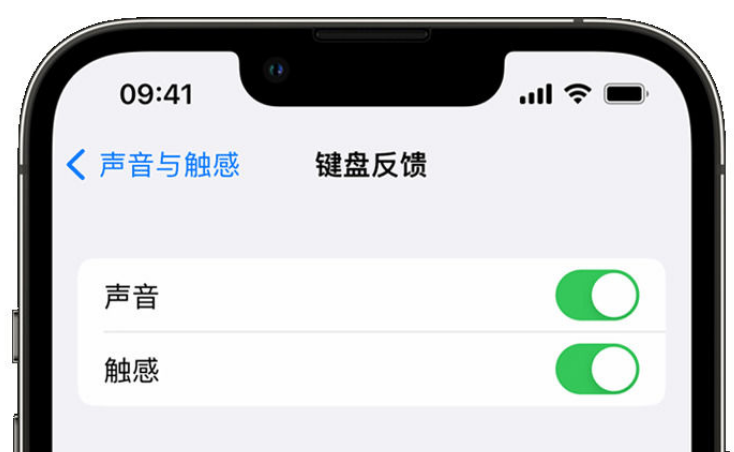 海陵苹果手机维修分享iPhone 14触感键盘使用方法 