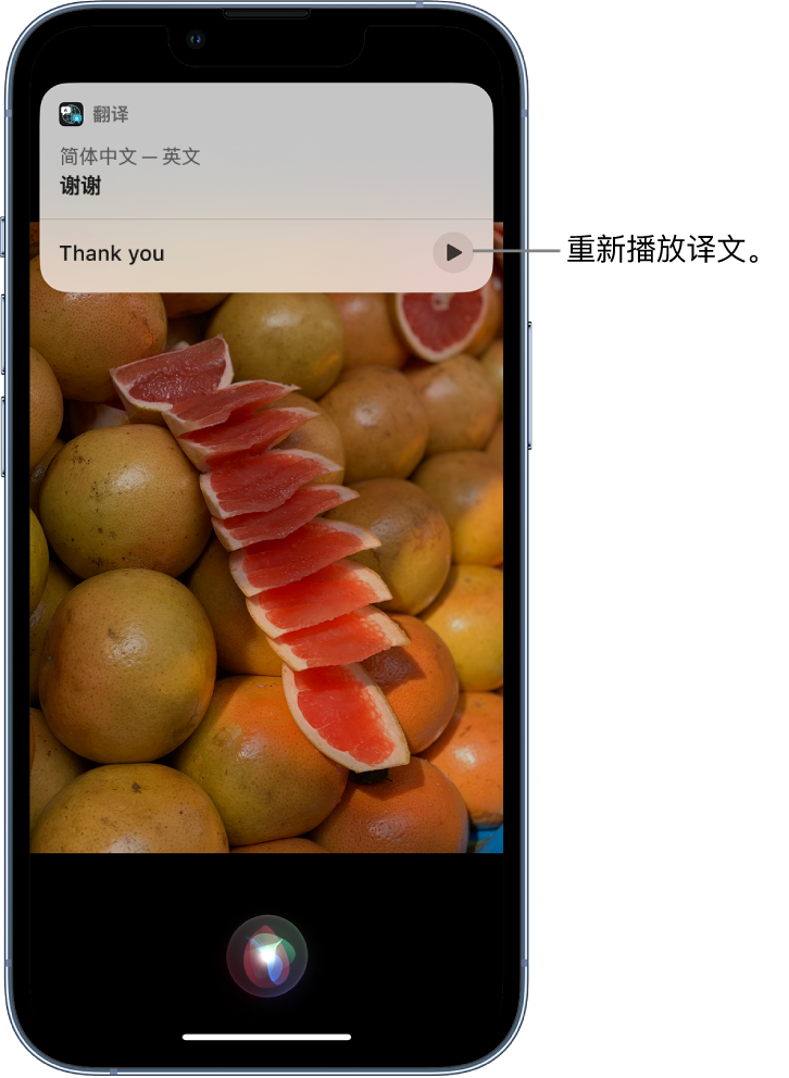 海陵苹果14维修分享 iPhone 14 机型中使用 Siri：了解 Siri 能帮你做什么 