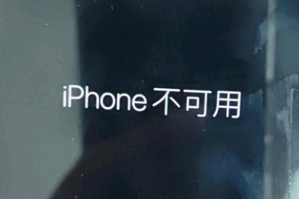 海陵苹果服务网点分享锁屏界面显示“iPhone 不可用”如何解决 