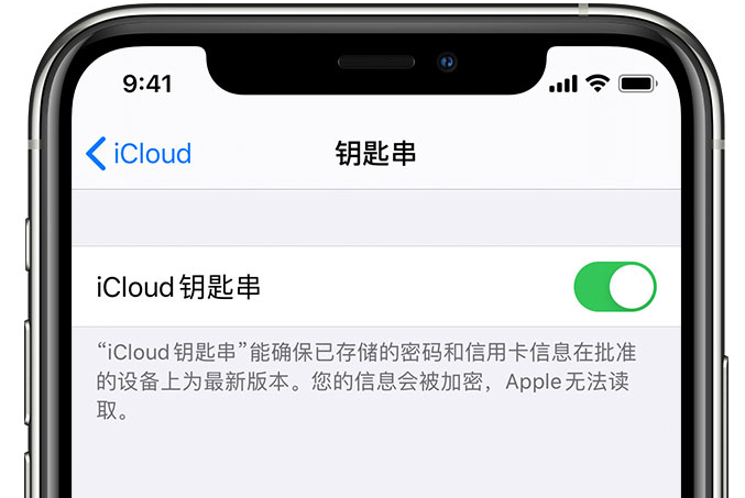 海陵苹果手机维修分享在 iPhone 上开启 iCloud 钥匙串之后会储存哪些信息 