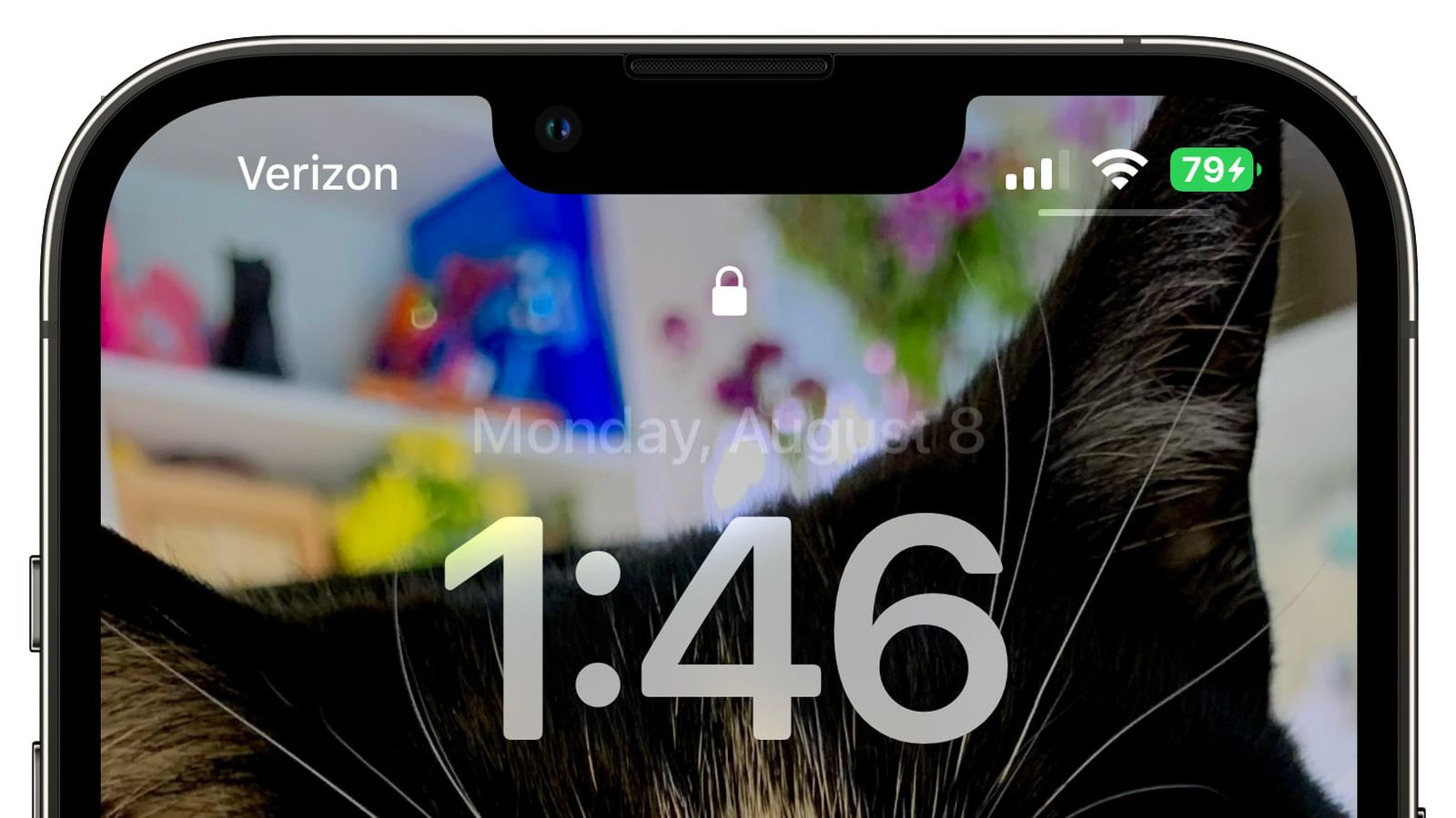 海陵苹果手机维修分享iOS 16 beta 5 支持状态栏显示电池百分比，如何开启？支持哪些机型 