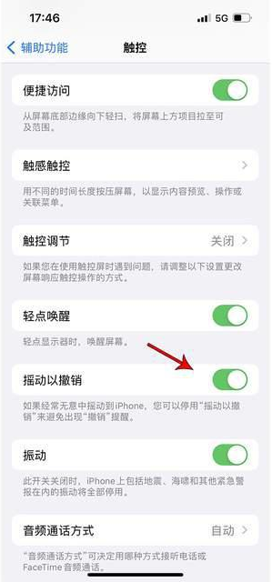 海陵苹果手机维修分享iPhone手机如何设置摇一摇删除文字 