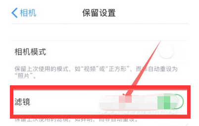 海陵苹果13维修分享iPhone13拍照有绿点是怎么回事 