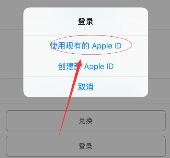 海陵苹果手机维修分享两台iPhone设备可以同时登录一个Apple ID吗 