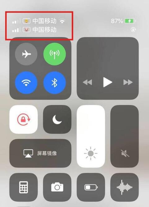 海陵苹果手机维修分享为 iPhone 12 双卡设置标签 