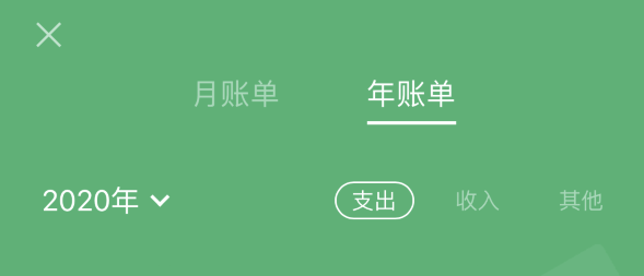 海陵苹果手机维修分享如何在 iPhone 上查看支付宝和微信年支出账单 