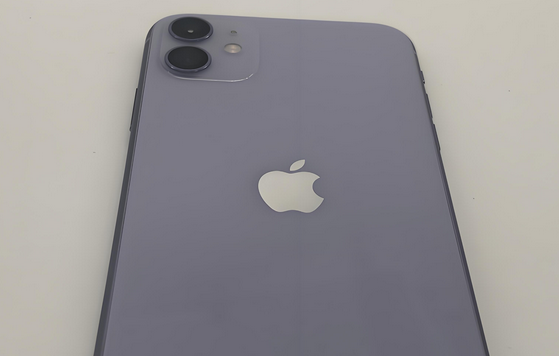 海陵苹果11系统维修分享iPhone11手机系统崩溃无法开机如何解决 